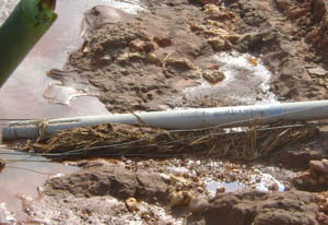 九洲国际官网(中国区)股份有限公司