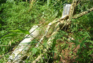 九洲国际官网(中国区)股份有限公司