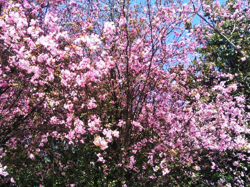 九洲国际官网(中国区)股份有限公司