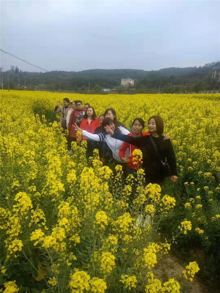 九洲国际官网(中国区)股份有限公司