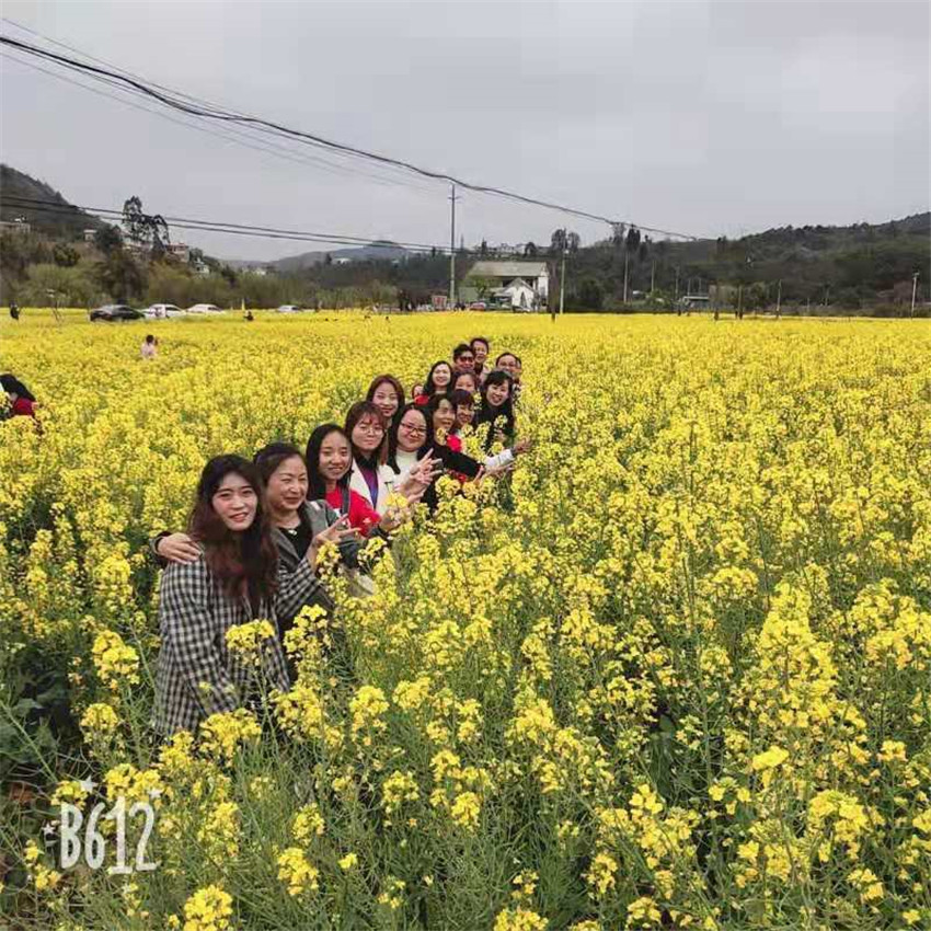 九洲国际官网(中国区)股份有限公司