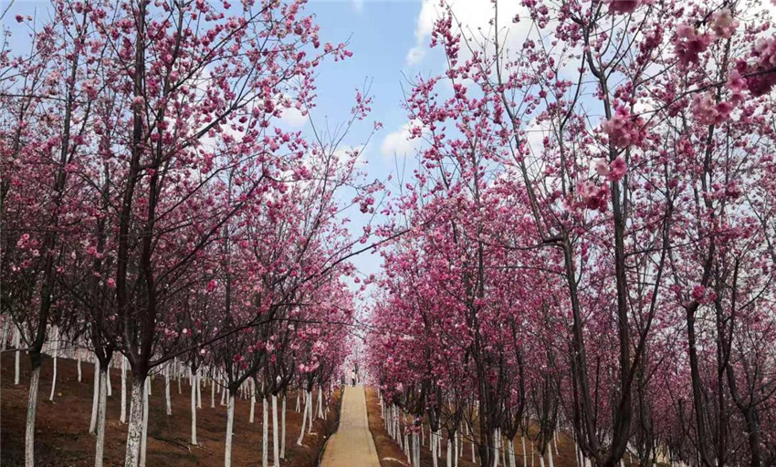 九洲国际官网(中国区)股份有限公司